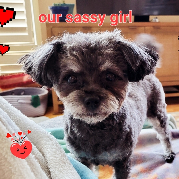 I donate to causes for children & women, gift unwanted & no Posh Shows - Picture 4 of 8